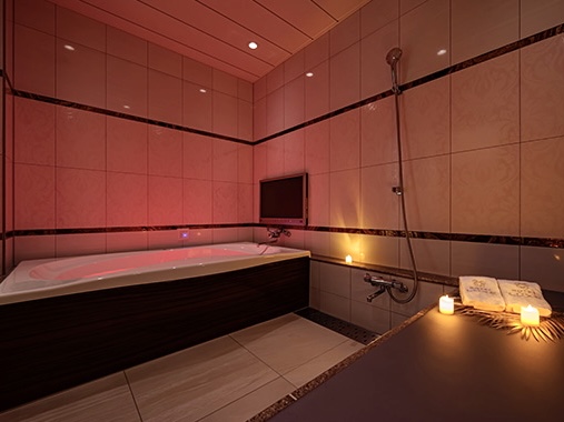 LUXE SHINAGAWA (リュクス シナガワ) 客室3