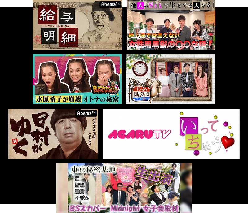 掲載メディア TV