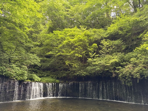 SHUN(ｼｭﾝ) ぼ〜っとする時間🍀