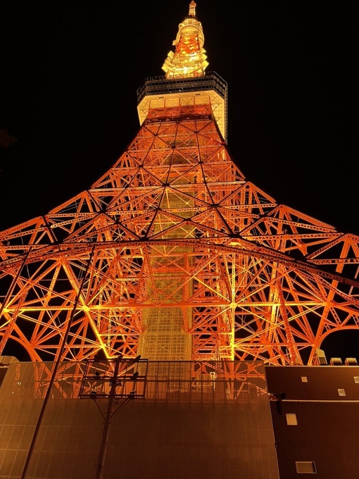HARU(ﾊﾙ) 東京タワー🗼