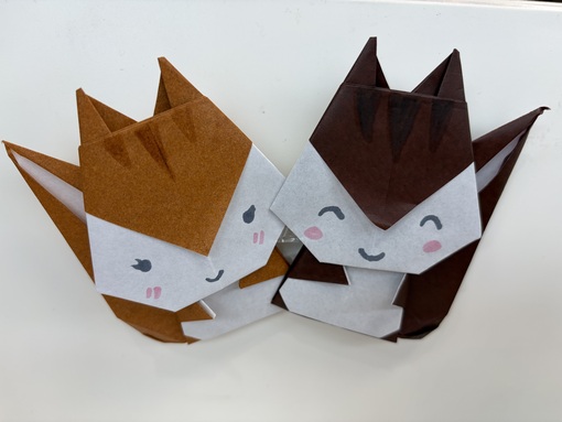 SHUN(ｼｭﾝ) 🐿️