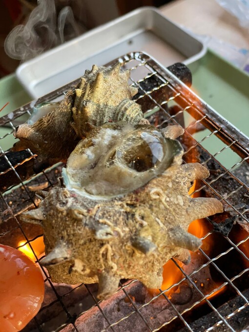 HARU(ﾊﾙ) シーズン過ぎてるけど！笑
