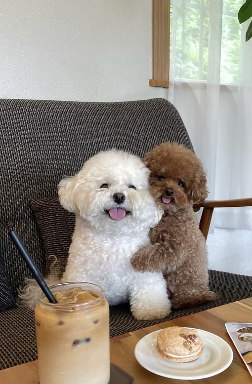HARU(ﾊﾙ) 大事にしてること☺︎ ︎