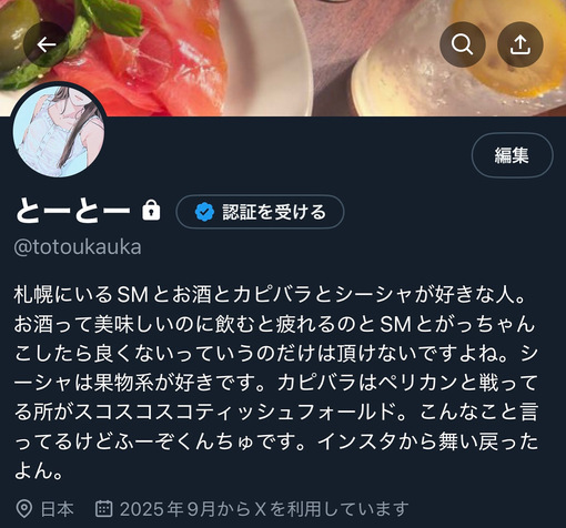 TOUKA（ﾄｳｶ） とぅいったー復活！？！？