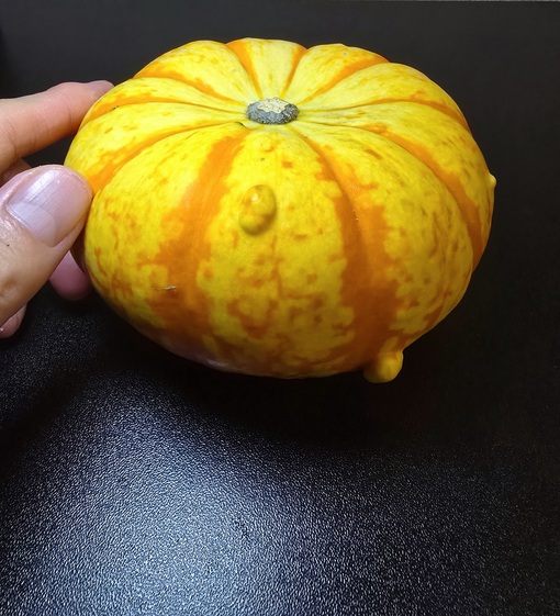 SHINYA(ｼﾝﾔ) ただ「気持ちよさ」を感じてほしい( ⁎ᵕᴗᵕ⁎ )