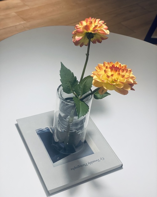 HARU(ハル) Hello November