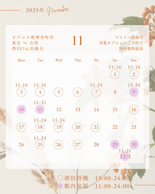 SUI(ｽｲ) 11月の出勤日🕊️