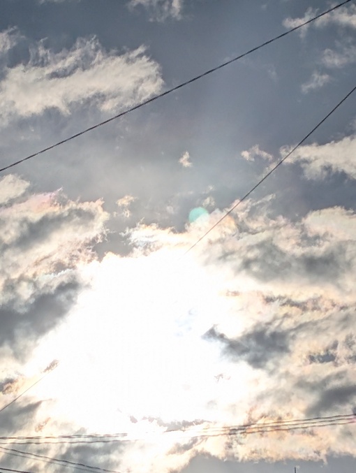 MABU 明日は快晴が良いな!