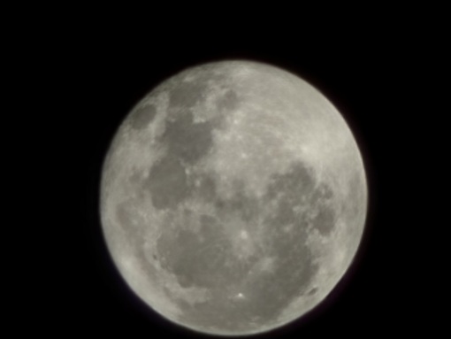 SHINYA(ｼﾝﾔ) 月を見上げて🌕