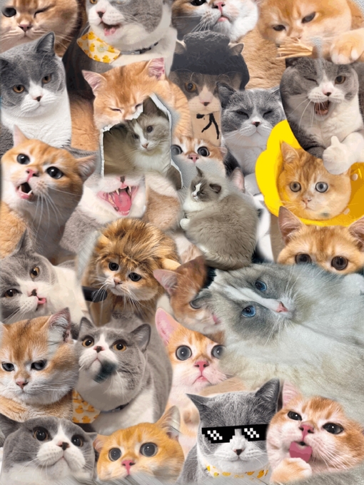 MABU 癒しって色々だね