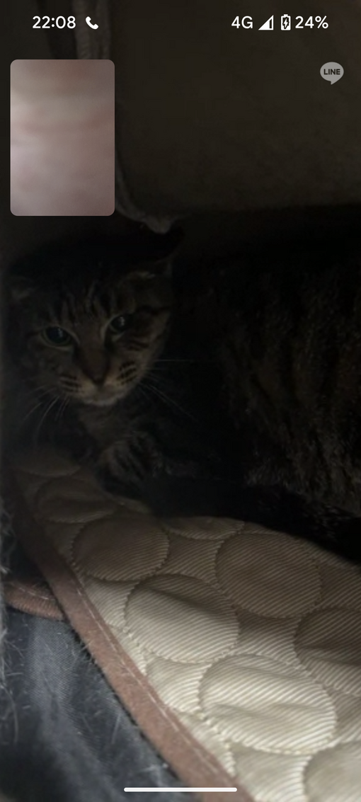 MABU うちの　アンちゃん