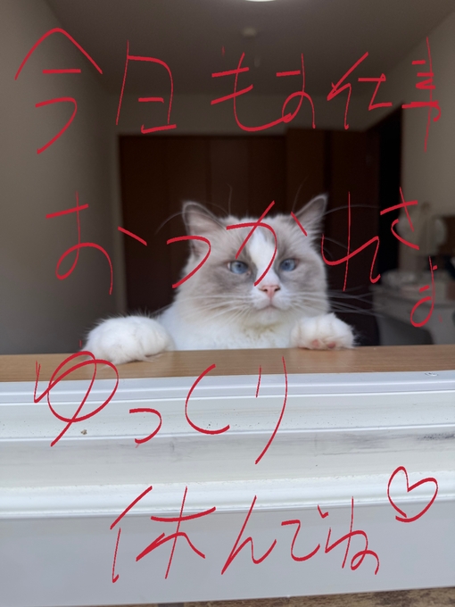 MABU お疲れ様でした✨