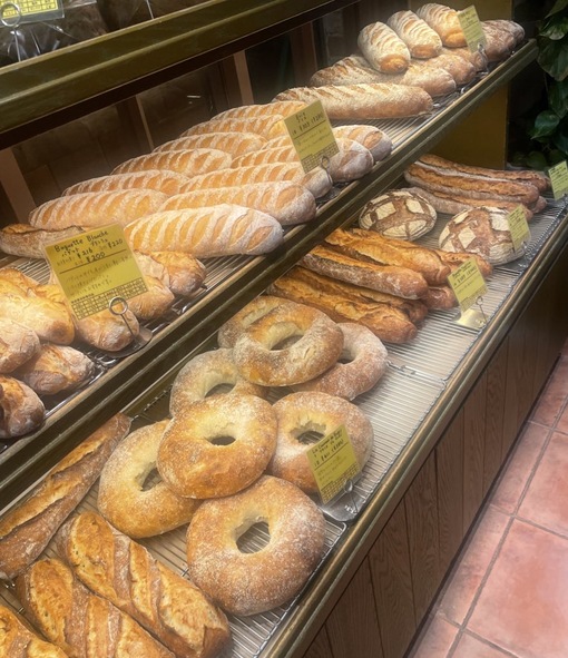 UMI(ｳﾐ) 朝だよ