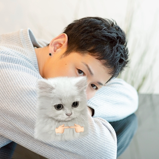 MABU こんばんは