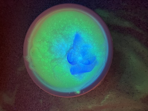 YURIA（ﾕﾘｱ） 直近スケジュール