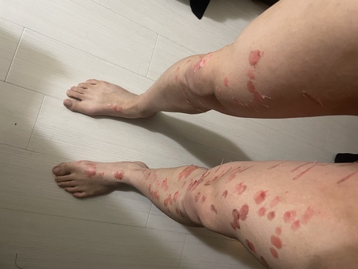 KAITO(ｶｲﾄ) SM界のプロ辰神麗子さんの講習を受けてきたよ