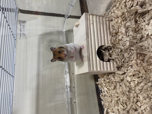 TSUZURU(ﾂﾂﾞﾙ) 12/8(月)のシフト🗓