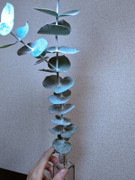 SHINYA(ｼﾝﾔ) 小さな健康習慣𓂃🌿𓈒𓏸