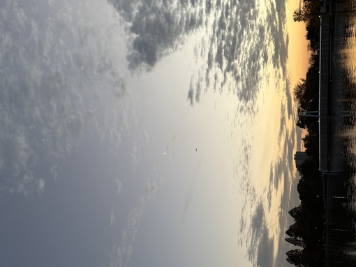 SHUYA(ｼｭｳﾔ) デビュー‼️⭐️