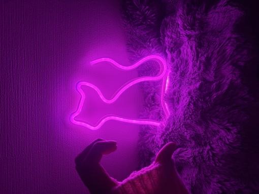 RUI(ﾙｲ) 【ねこちゃんっ🐈‍⬛🎀】