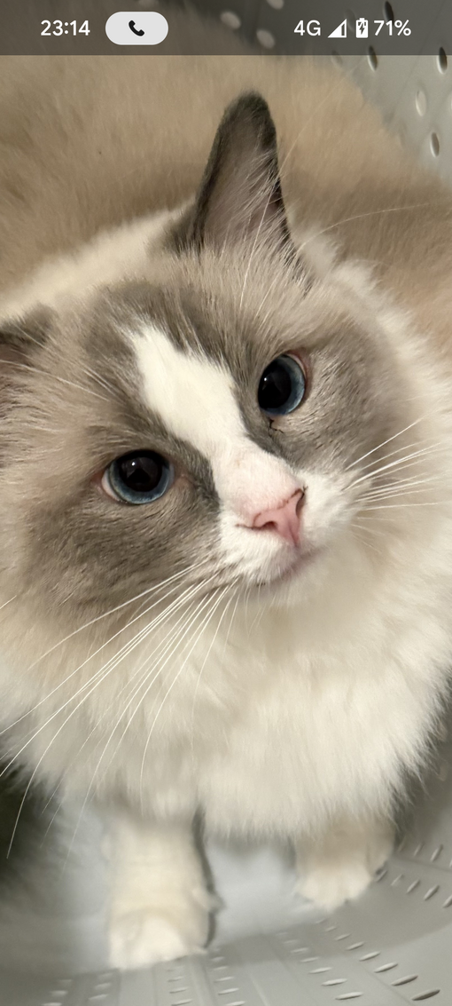 MABU おはようございます😊