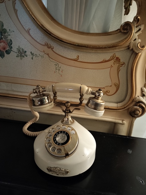 SUI(ｽｲ) のんびり養生🐢