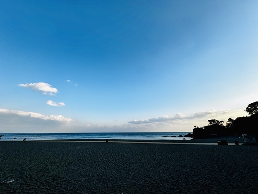 HARUKA(ﾊﾙｶ) 映画をみた