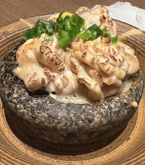 HULK(ﾊﾙｸ) 白子ちゃん🧞‍♂️