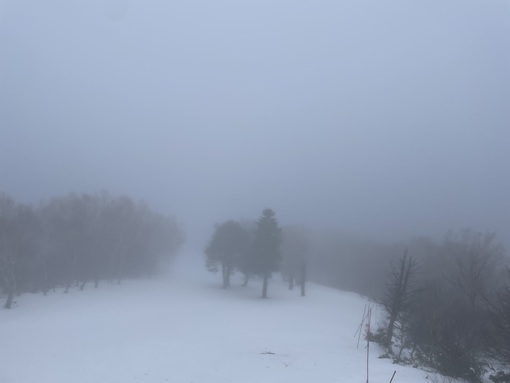 TAKA(ﾀｶ) スノボー合宿