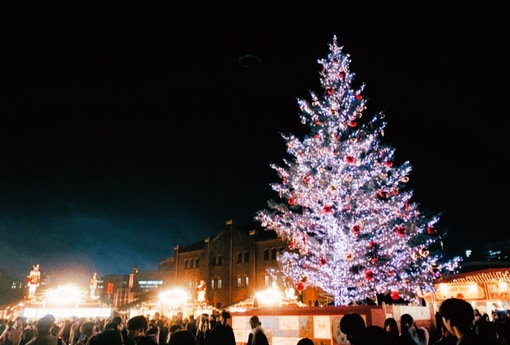 YUNO(ﾕﾉ) メリークリスマス🌲🤶