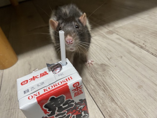 TSUZURU(ﾂﾂﾞﾙ) 12/26(金)のシフト🗓