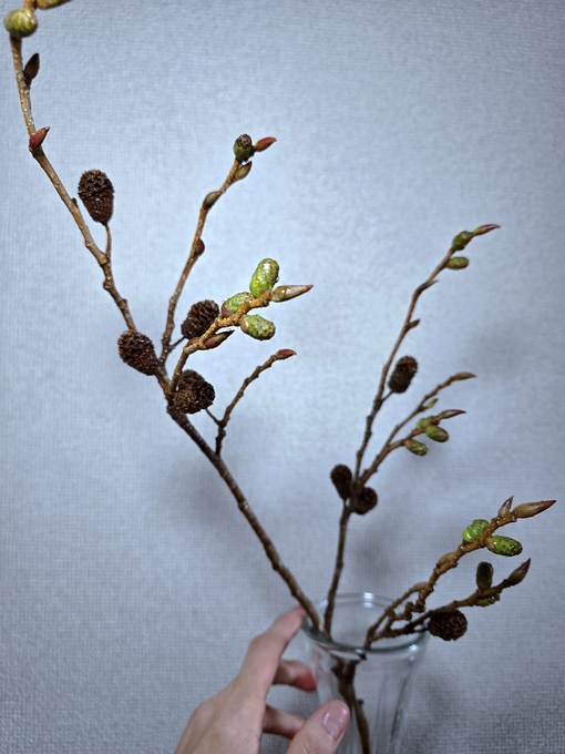 SHINYA(ｼﾝﾔ) おだやかな時間🌿‬