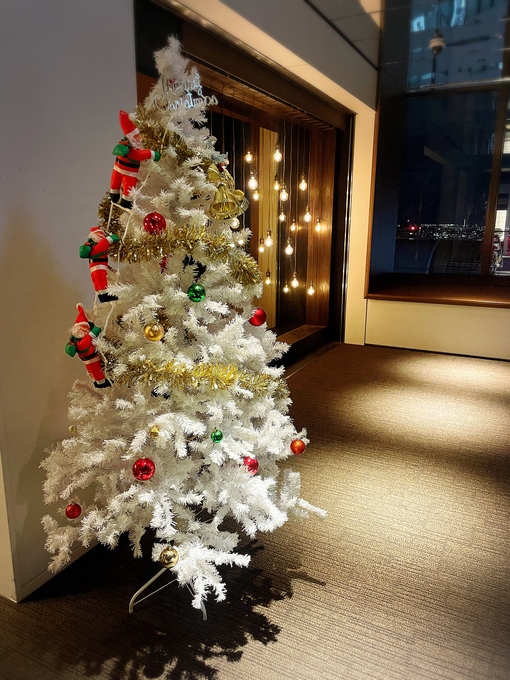 HAKU(ﾊｸ) 余韻の残る夜