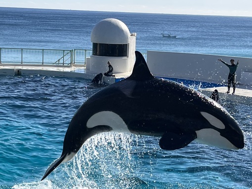 YURI(ﾕｳﾘ) 年末