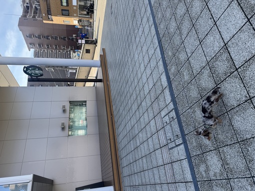 HIROTO(ﾋﾛﾄ) スタバパスもう休み。