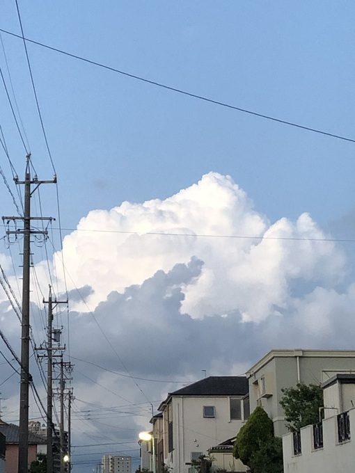 NOZOMI ドキドキより安心感