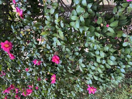 RYOUSUKE(ﾘｮｳｽｹ) 癒し📸