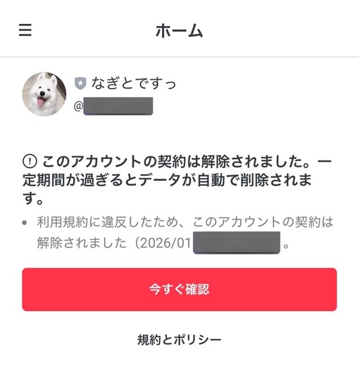 NAGITO(ﾅｷﾞﾄ) LINE凍結しました🥲‎