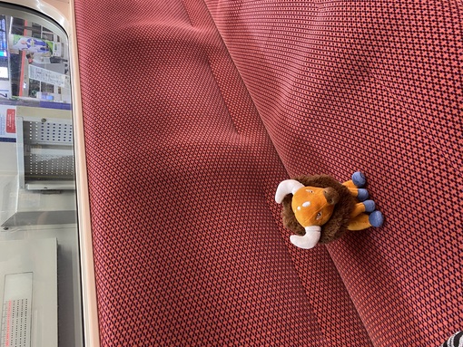 TSUZURU(ﾂﾂﾞﾙ) 動きやすい2月‼️到来‼️