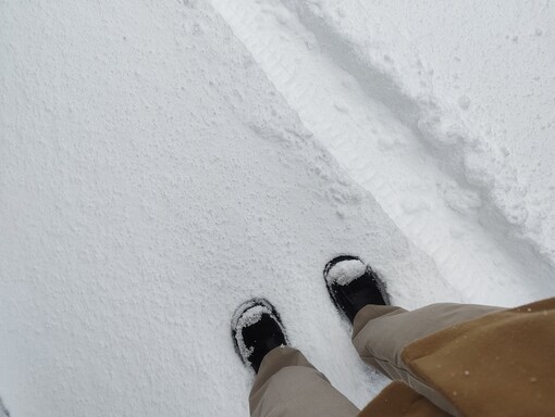 SUI(ｽｲ) 2月の都内出張☃️
