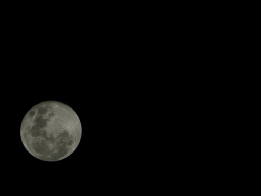 SHINYA(ｼﾝﾔ) 満ちる夜に🌕