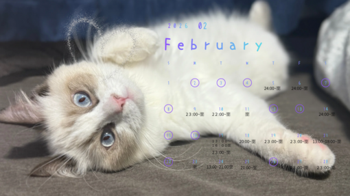 KANEKI(ｶﾈｷ) 最新スケジュール