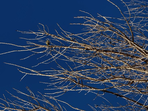 HARUKA(ﾊﾙｶ) 言葉に出さないだけで色々思っている