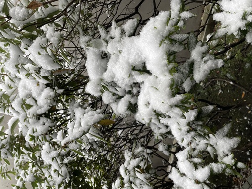 MISAKI(ﾐｻｷ) 一緒に