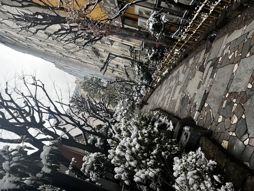 MAKI(ﾏｷ) おはよう🙌