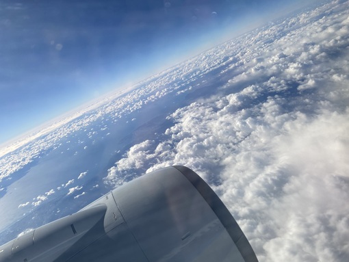 TSUZURU(ﾂﾂﾞﾙ) 空が青いと思えるのは幸せなこと🟦