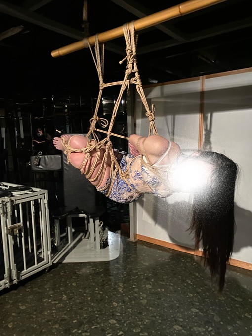 TOUKA（ﾄｳｶ） 緊縛🪢