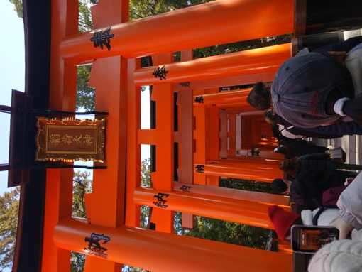 YUMA(ﾕｳﾏ) 京都大好きです　デートしませんか？