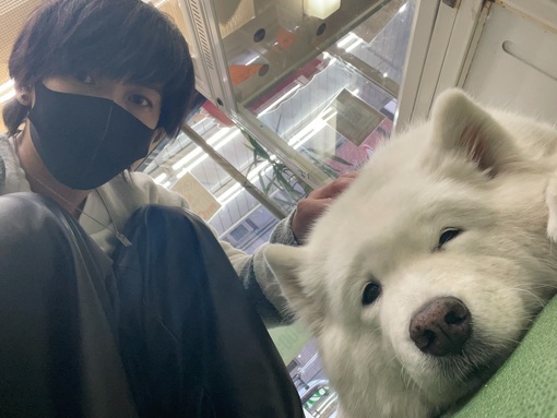 NAGITO(ﾅｷﾞﾄ) 犬セラピとして🐶