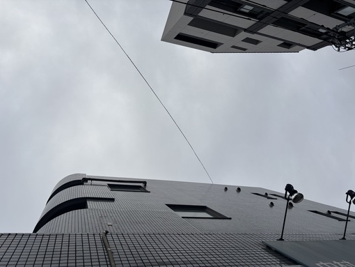 IBUKI(ｲﾌﾞｷ) 朝